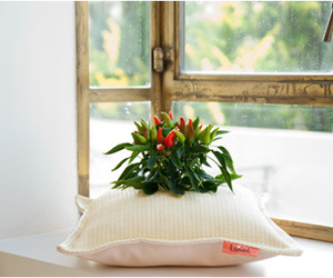 Studio-libel-natures-pillow-2-m