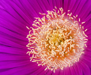 Stunning-photos-of-nature-by-colby-brown-m
