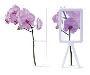 Stylish-vase-by-cottage-industry-m