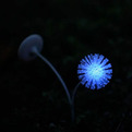 Sundew-flower-trap-by-min-kyu-choi-s