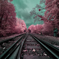 Surreal-infrared-landscape-photography-s