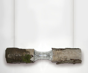 Sustainable-lamp-design-inspired-by-nature-m