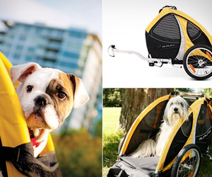 Tail-wagon-bike-pet-trailer-m