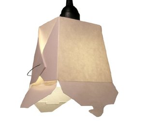 Take Out Light