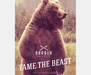 Tame-the-beast-campaign-agency-180-m
