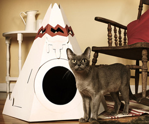 Teepees-and-cabins-for-cool-cats-m