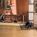 Teragren-bamboo-portfolio-flooring-in-new-country-2-s