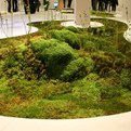 Terramac-a-living-carpet-s
