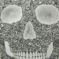 The-100-hr-38-day-skull-drawing-s