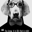 The-architect-who-is-wrong-s