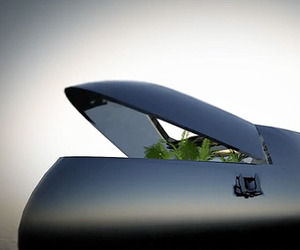 The Beluga Super Yacht