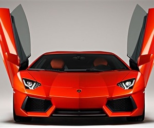 The-biggest-baddest-bull-to-leave-santagata-m