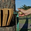 The-bucolic-design-by-jailmake-s