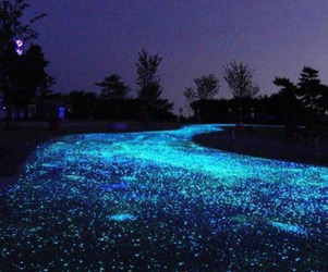 The-coolest-driveway-ever-m