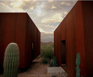 The-desert-nomad-m