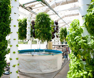 The-farm-of-the-future-a-hi-tech-living-ecosystem-m