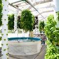 The-farm-of-the-future-a-hi-tech-living-ecosystem-s