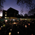 The-field-of-light-by-bruce-munro-s