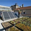 The-greenhouse-chicago-1101-s