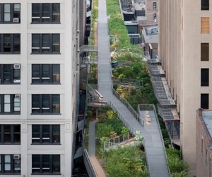 The-high-line-part-deux-m