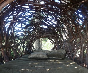 The-human-nest-at-big-sur-by-jayson-fann-m