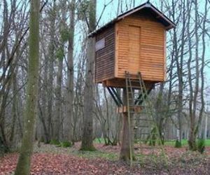 The-hut-in-the-tree-1185-m