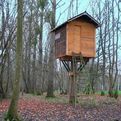 The-hut-in-the-tree-1185-s
