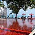 The-library-resort-thailand-s