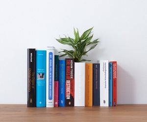 The-life-of-plants-by-yoy-m