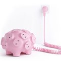 The-power-pig-with-17-snoutlets-s