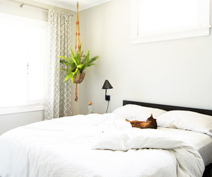 The-restyled-home-of-laure-joliet-m
