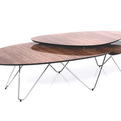 The-savanna-collection-s