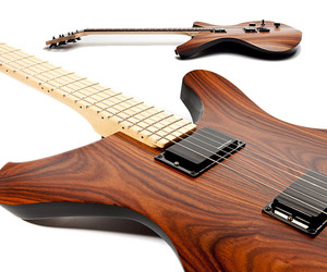 The-sinuous-guitar-m