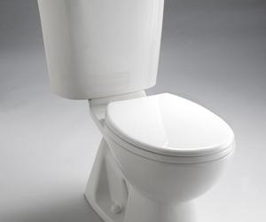 The-toilet-im-going-to-buy-rand-paul-m