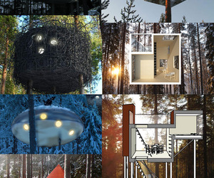 The-treehotel-opens-in-sweden-with-6-treehouses-m