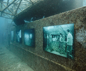‘The Vandenberg Life Below the Surface,’ Exhibition 