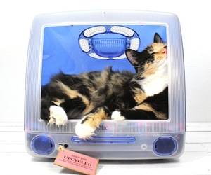 Think-different-pet-bed-by-atomic-attic-m