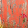 Timeline-wood-designer-finished-wood-s