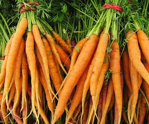 Tiny Farm Blog