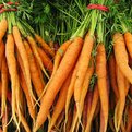 Tiny-farm-blog-s