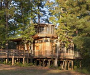 Traditional Green House Design by Lord, Aeck and Sargent