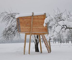 Tree-cum-playhouse-for-children-m