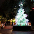 Tree-cycle-christmas-tree-made-of-old-bycicles-s