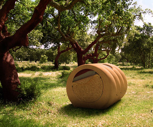 Tree-house-camping-for-dideia-m