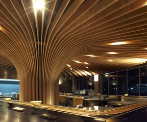 Tree-restaurant-in-sydney-by-koichi-takada-architects-m