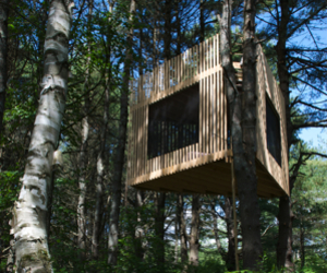 Tree-room-by-christopher-smith-architect-m