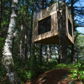 Tree-room-by-christopher-smith-architect-s