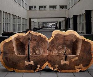 Tree-trunk-benches-gives-homage-to-the-elm-trees-m