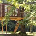 Treehouse-s