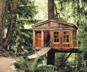 Treehouse-workshop-m